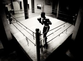 Shadow Boxer 4 #86090 Shadow Boxer 4 #86090