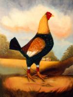 Fighting Cocks 2, Alexandra Churchill #85428 Fighting Cocks 2, Alexandra Churchill #85428