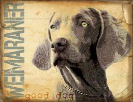 Weimaraner #86788 Weimaraner #86788