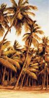 Island Sunset II #RDI4127 Island Sunset II #RDI4127