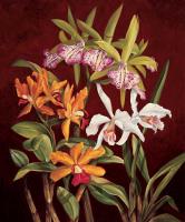 Orchid Trio II #RDI4133 Orchid Trio II #RDI4133