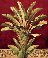 Traveler^s Palm #RDI4137 Traveler^s Palm #RDI4137