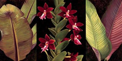 Red Orchids and Palm Leaves #RDI4152 Red Orchids and Palm Leaves #RDI4152