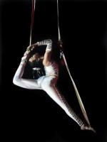The Acrobat #RDS111872 The Acrobat #RDS111872