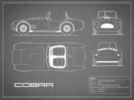 Cobra-Grey #RGN112702 Cobra-Grey #RGN112702