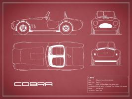 Cobra-Maroon #RGN112704 Cobra-Maroon #RGN112704