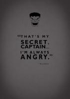Bruce Banner #RGN112809 Bruce Banner #RGN112809
