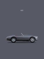 AC Ace 1951 #RGN113070 AC Ace 1951 #RGN113070