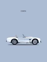 Shelby Cobra 65 #RGN113118 Shelby Cobra 65 #RGN113118