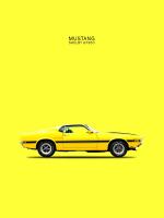 Mustang Shelby GT350 69 Yellow #RGN113238 Mustang Shelby GT350 69 Yellow #RGN113238