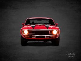 Ford Mustang Shelby 1969 #RGN114424 Ford Mustang Shelby 1969 #RGN114424
