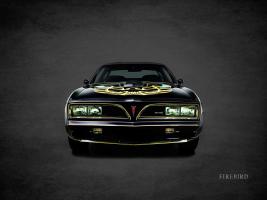 Pontiac FireBird TransAm 1978 #RGN114444 Pontiac FireBird TransAm 1978 #RGN114444