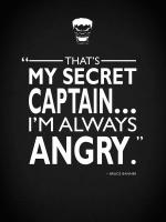 Hulk Alwas Angry #RGN114790 Hulk Alwas Angry #RGN114790
