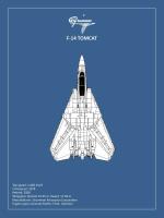 BP F-14-Tomcat #RGN114919 BP F-14-Tomcat #RGN114919