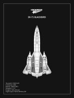 BP LOCKHEED SR-71 Black #RGN114938 BP LOCKHEED SR-71 Black #RGN114938