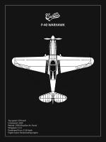 BP P-40 Warhawk Black #RGN114944 BP P-40 Warhawk Black #RGN114944