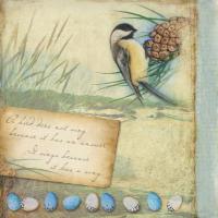 Chickadee #87450 Chickadee #87450