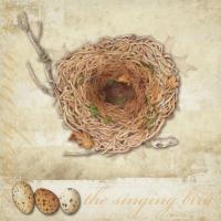 Singing Bird Nest A #87451 Singing Bird Nest A #87451