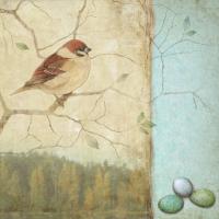 Sparrow B #87454 Sparrow B #87454