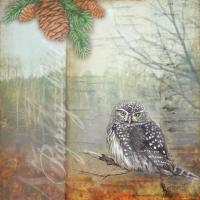 Lodge Owl #87482 Lodge Owl #87482