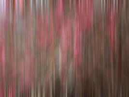 Crabapple Tree blossoms #SK113940 Crabapple Tree blossoms #SK113940