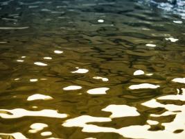 Water Reflections #SK113950 Water Reflections #SK113950