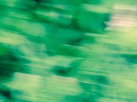 Flora Motion #SK113961 Flora Motion #SK113961