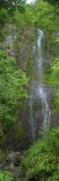 Maui Waterfall #SN111992 Maui Waterfall #SN111992