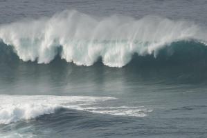 Maui North Shore #SN111993 Maui North Shore #SN111993