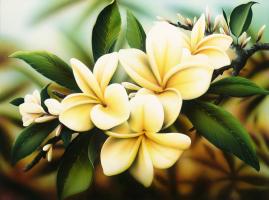 Untitled #80853 Untitled #80853