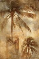 Retro Palms II #75157 Retro Palms II #75157