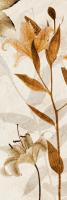 Ambre Antique I #75649 Ambre Antique I #75649