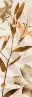Ambre Antique II #75650 Ambre Antique II #75650