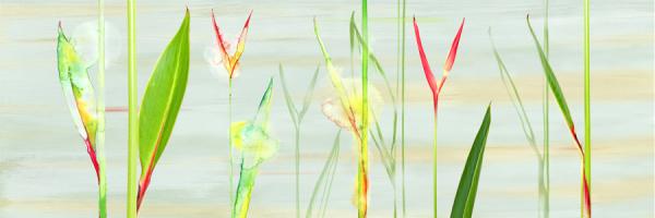 Stems in Tropics I #78655 Stems in Tropics I #78655