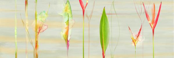 Stems in Tropics II #78656 Stems in Tropics II #78656