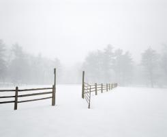 White Fog #2 #81767 White Fog #2 #81767