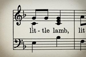 Little Lamb #83615 Little Lamb #83615