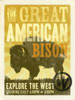 Bison #91719 Bison #91719