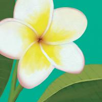 Flower Art 5 #91732 Flower Art 5 #91732