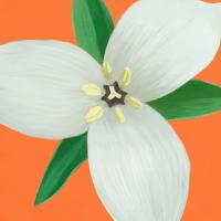 Flower Art 7 #91734 Flower Art 7 #91734