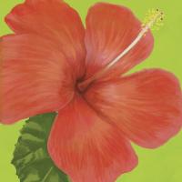 Flower Art 9 #91736 Flower Art 9 #91736