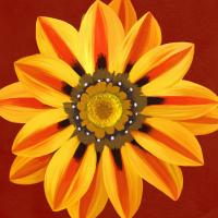 Flower Art 10 #91737 Flower Art 10 #91737
