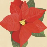 Flower Art 12 #91739 Flower Art 12 #91739