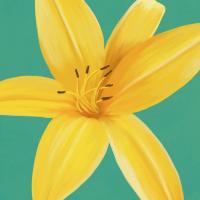 Flower Art 13 #91740 Flower Art 13 #91740