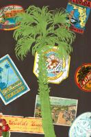 Palm 2 #86517 Palm 2 #86517