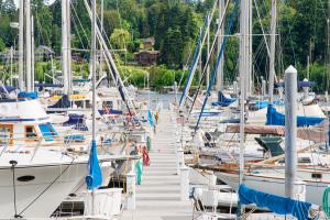untitled #100598 untitled #100598