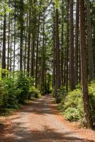 untitled #100606 untitled #100606