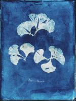 Natural Forms Blue 4 #102182 Natural Forms Blue 4 #102182