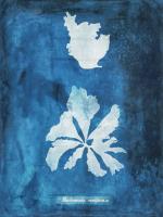 Natural Forms Blue 9 #102187 Natural Forms Blue 9 #102187