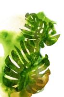 Watercolor Botanicals 4 #102211 Watercolor Botanicals 4 #102211
